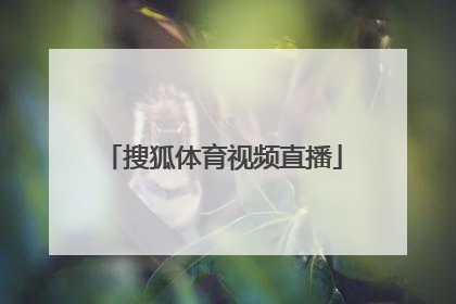 「搜狐体育视频直播」搜狐体育直播