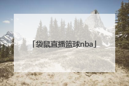 「袋鼠直播篮球nba」袋鼠直播篮球有中文吗