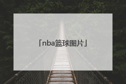 「nba篮球图片」Nba篮球图片高清