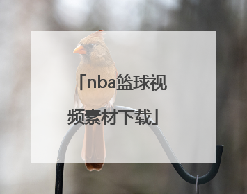 「nba篮球视频素材下载」库里篮球视频素材